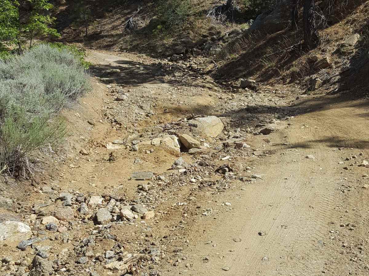 Alamo Mountain OHV - FS 8N01.3 photo 4
