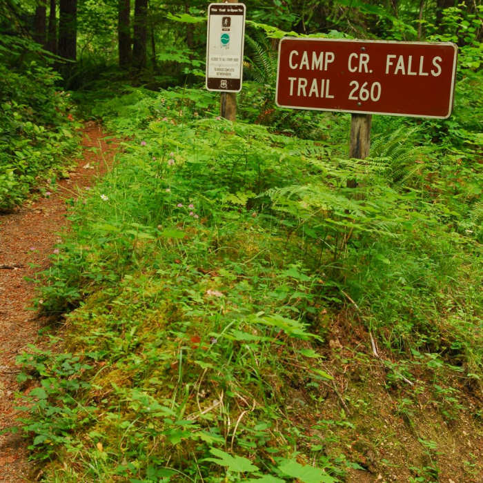 Near Camp Creek Falls Hike