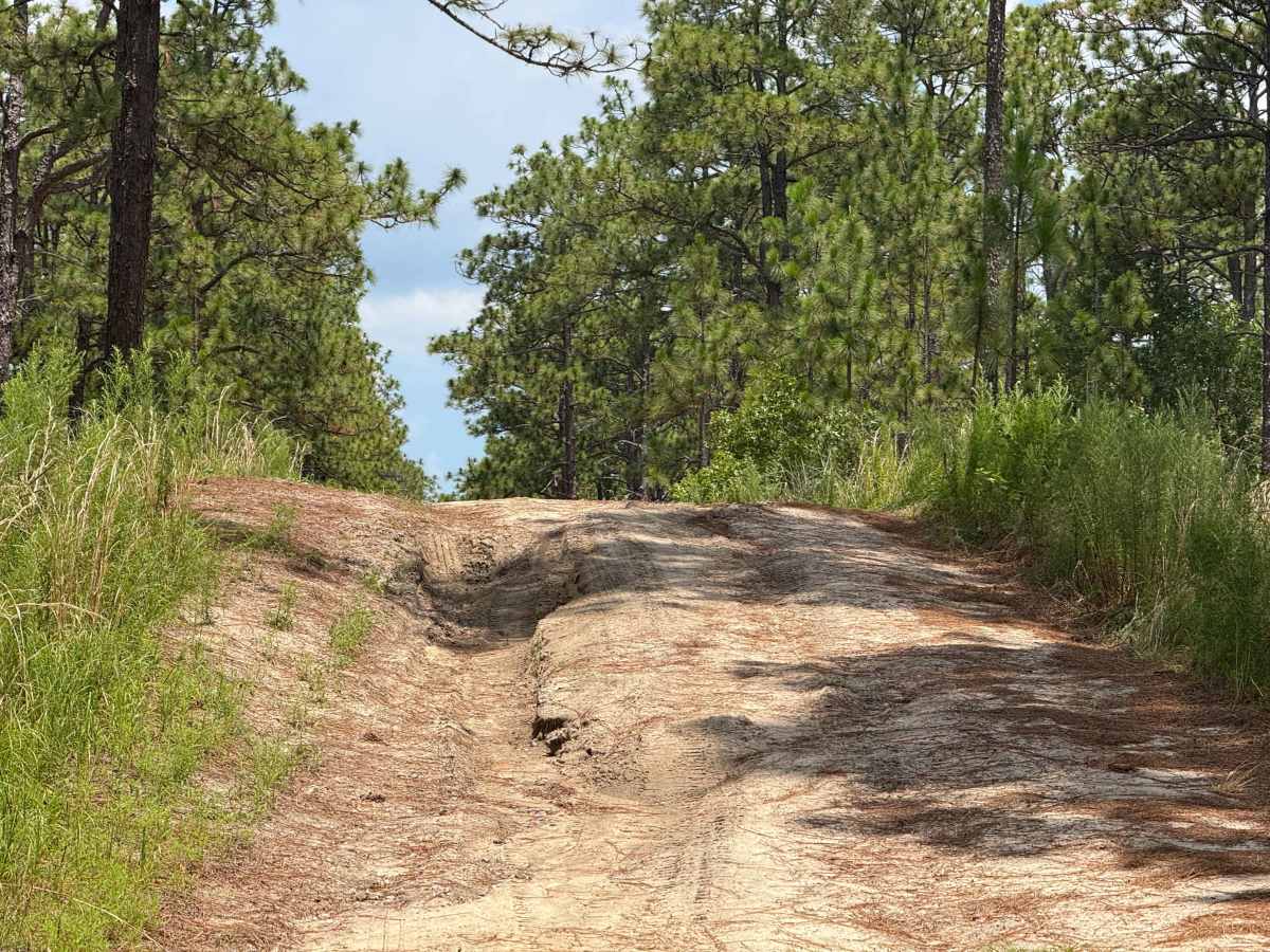 Deaton Lane photo 4