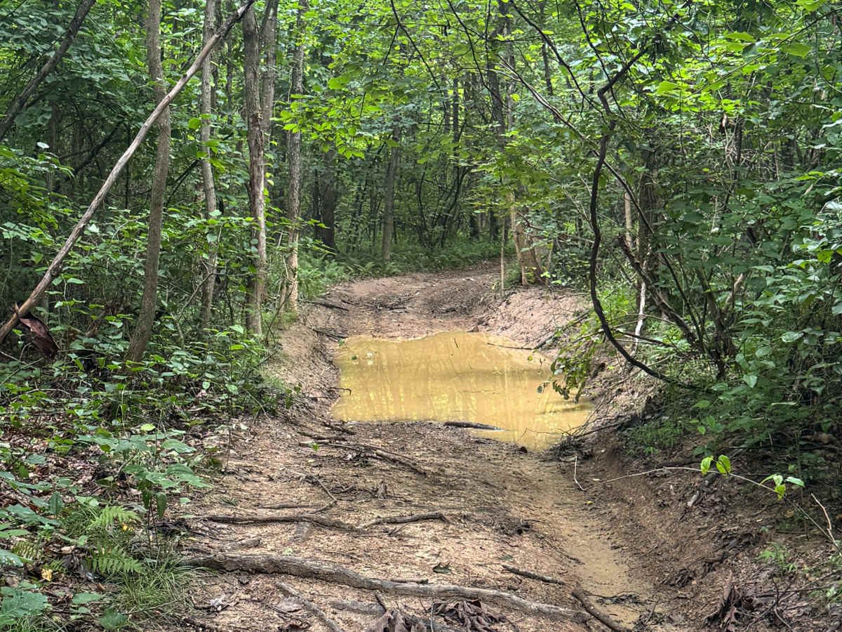 Trail 68 photo 3