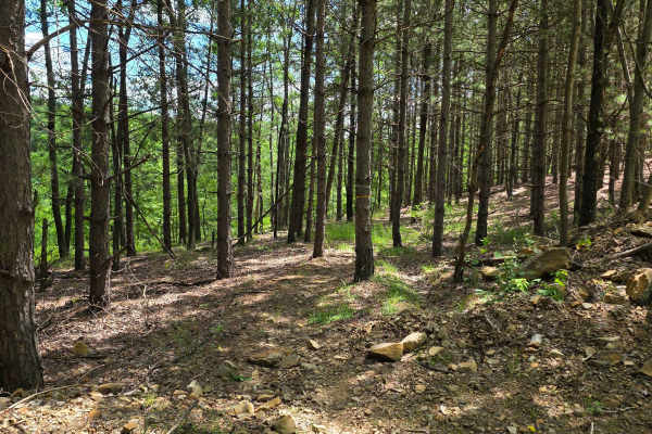 Single Track RR