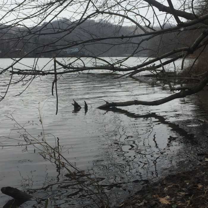 Near Sheldon Trail