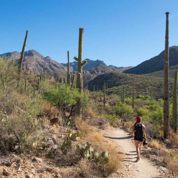 Near Sabino Lake and Bluff Trail Loop