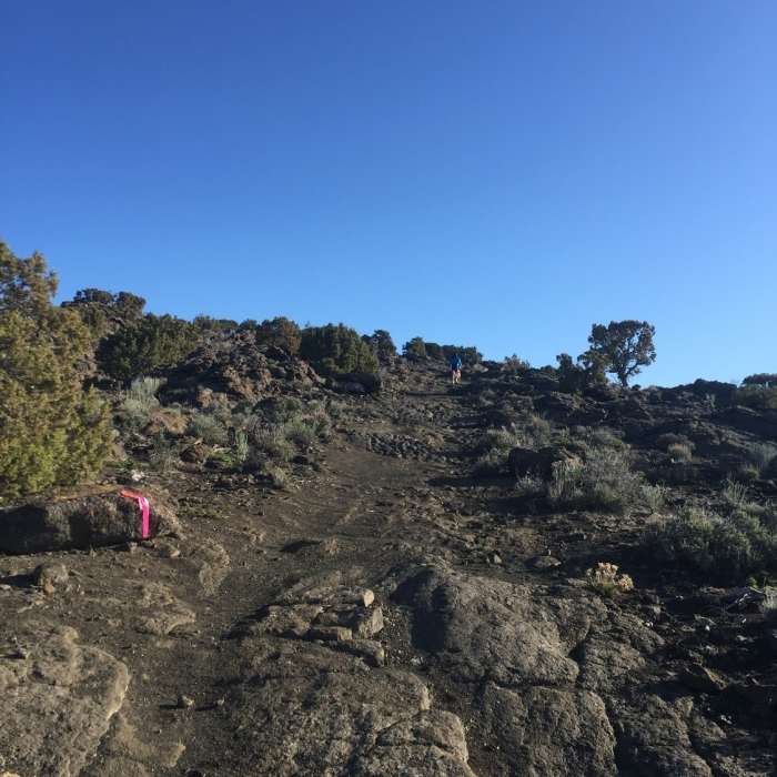 Near North Menan Butte Trail