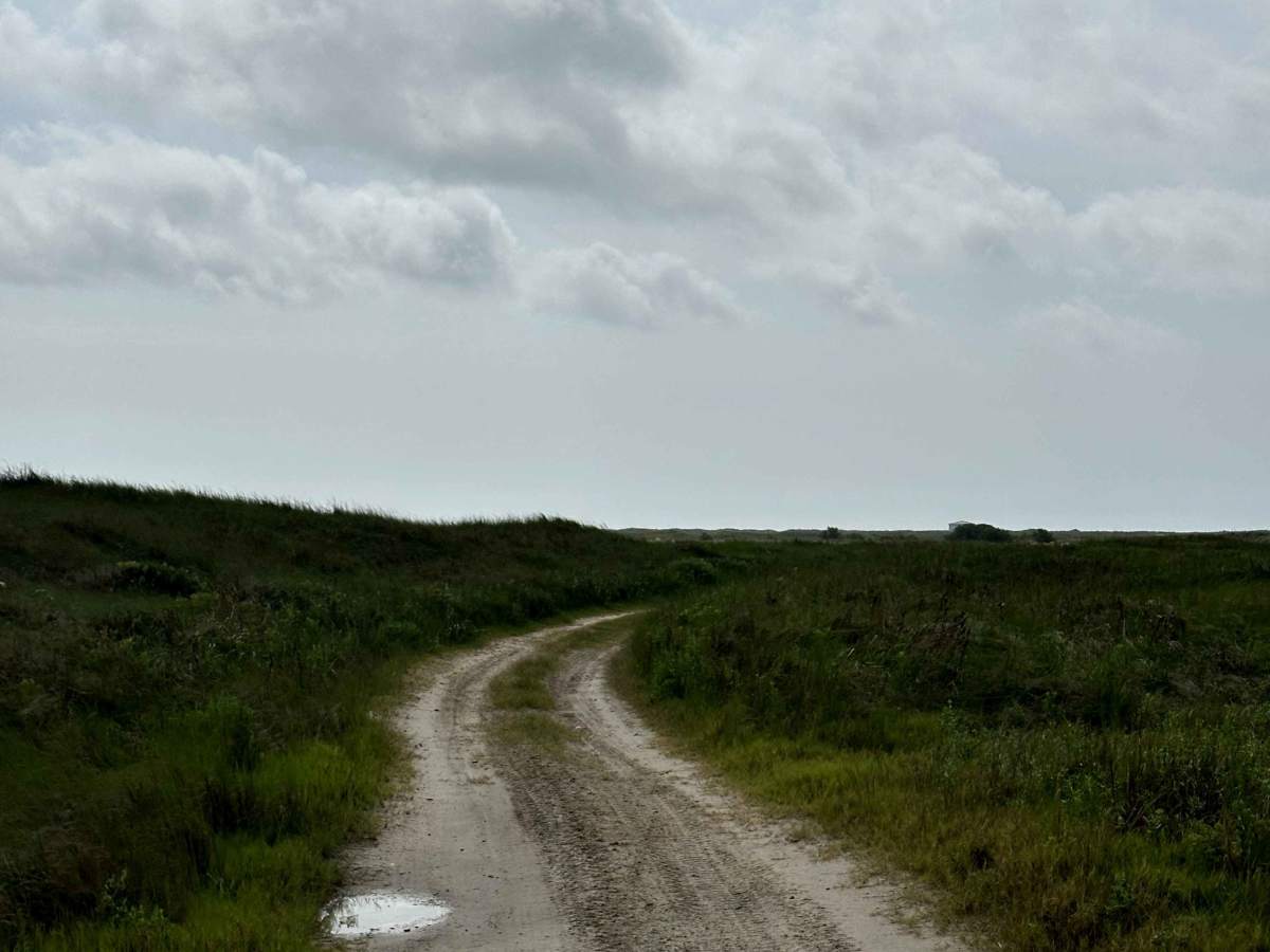 Coastal Way photo 5