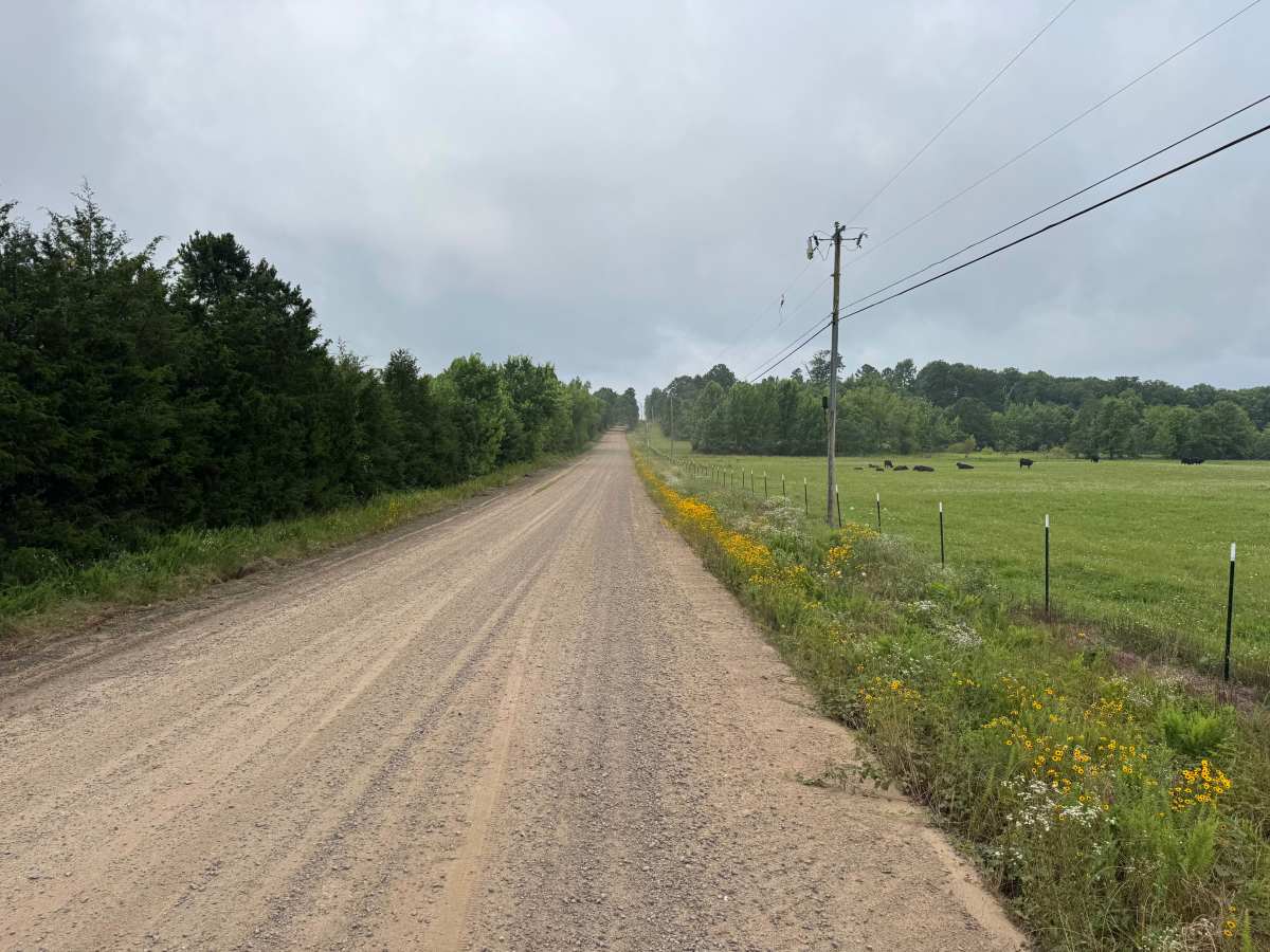 County Road 4021 trail photo