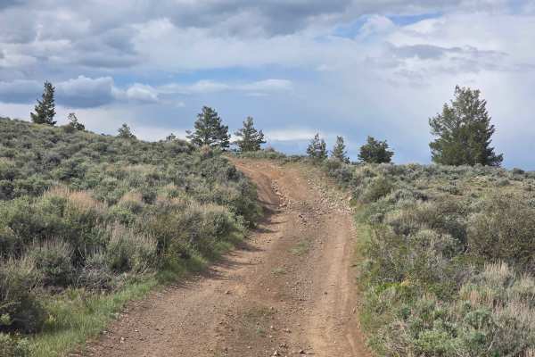 Little Wolfford Mountain Loop A