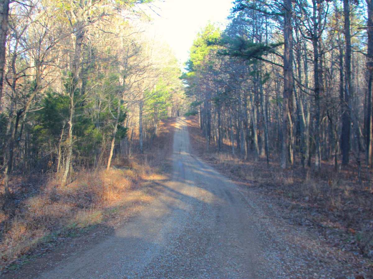 Duffy's Hollow - FS 419 trail photo
