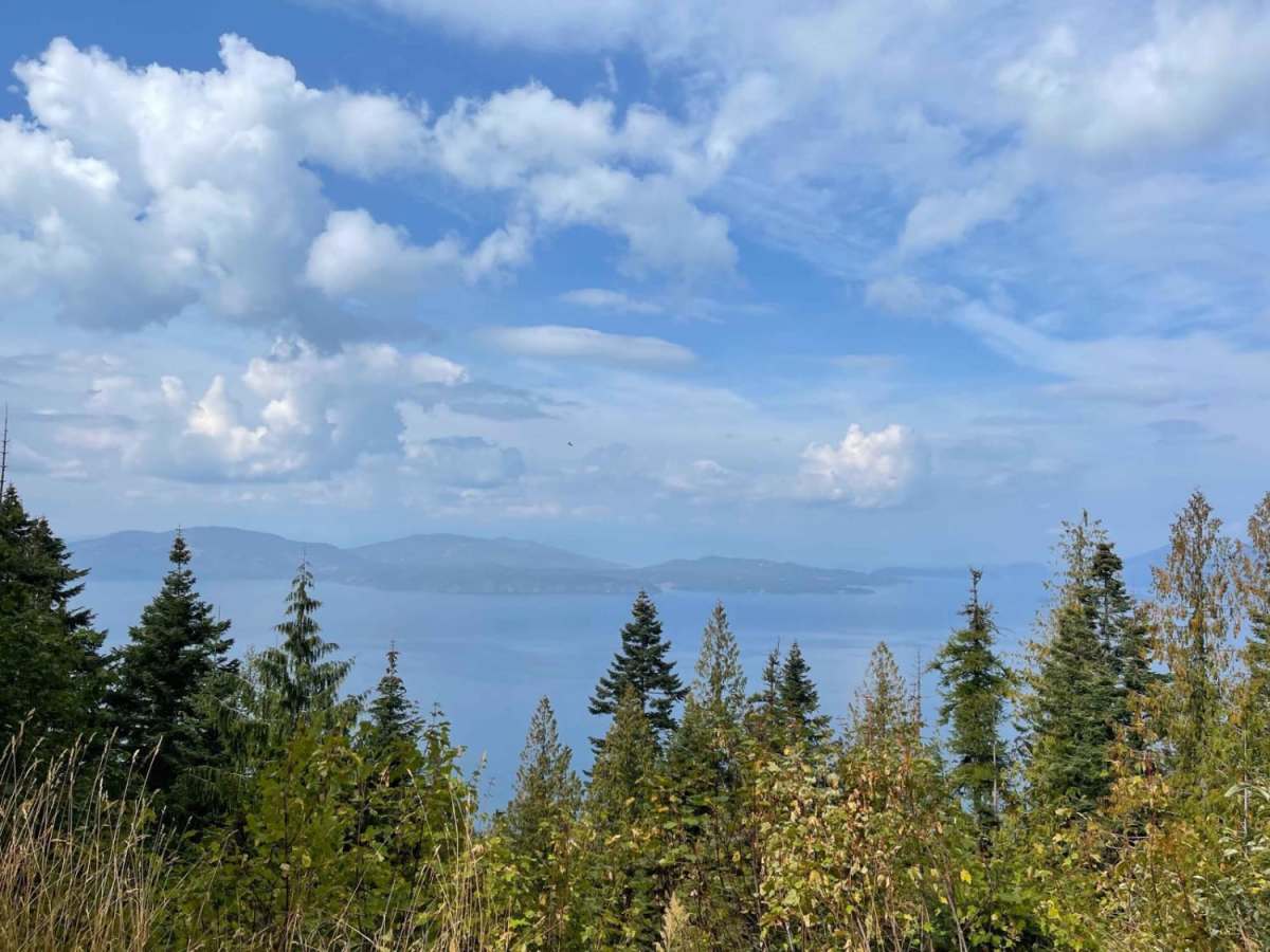 Johnson's Vista Trail trail photo