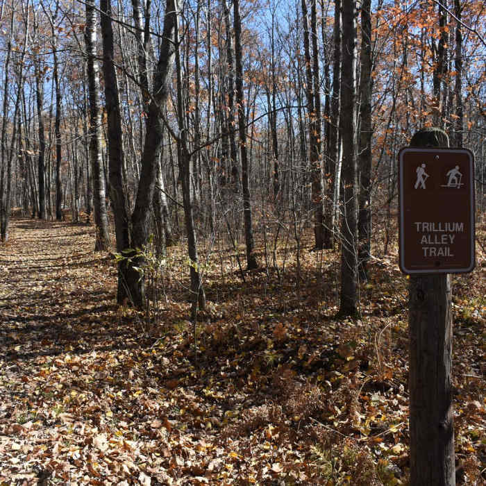 Near Hiking Club Trail Near Hiking Club Trail