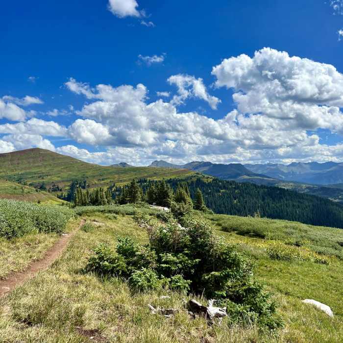 Looking down the Coal Creek Trail Near Coal Creek Trail