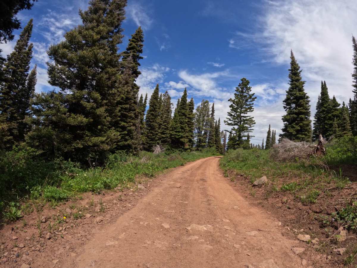 Monte Cristo Mine photo 5