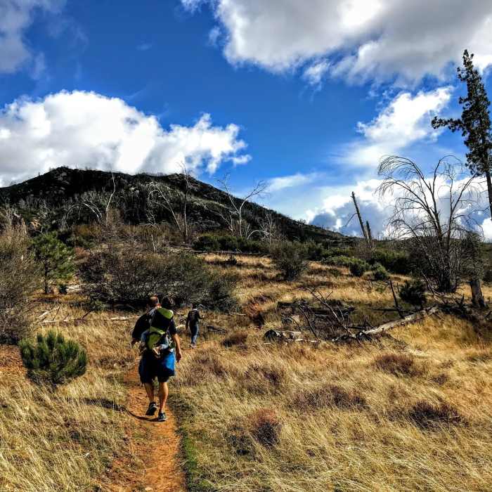 Stonewall Peak from the Cold Stream Trail Near Stonewall Peak Loop