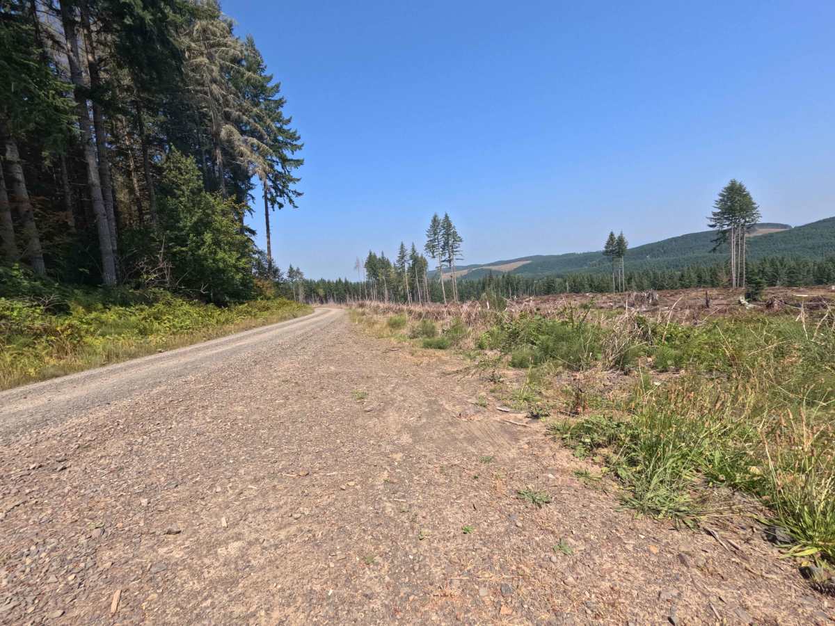 Gifford Pinchot - W1000 photo 4