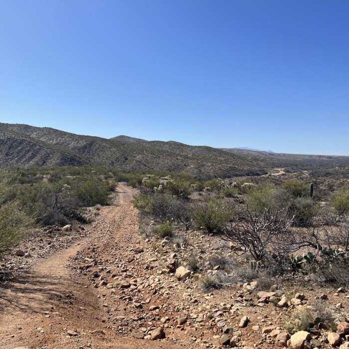 Near Arizona Trail Passage 14: Black Hills