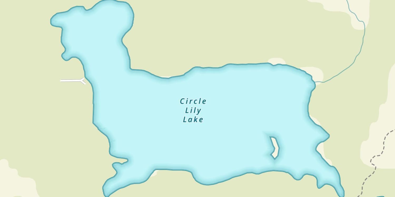 Circle Lily Lake