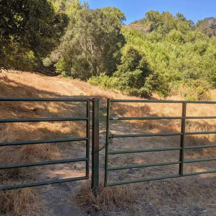 Near Valley Trail