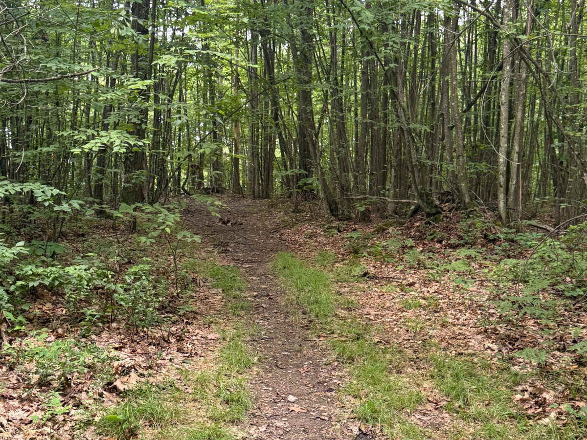 Trail 80 photo 2