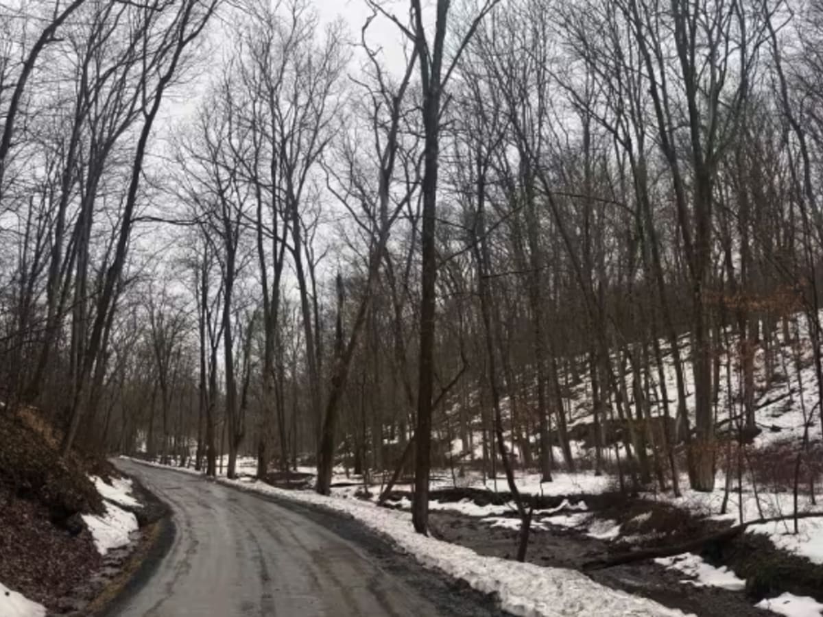 Ridge Valley Road  photo 3