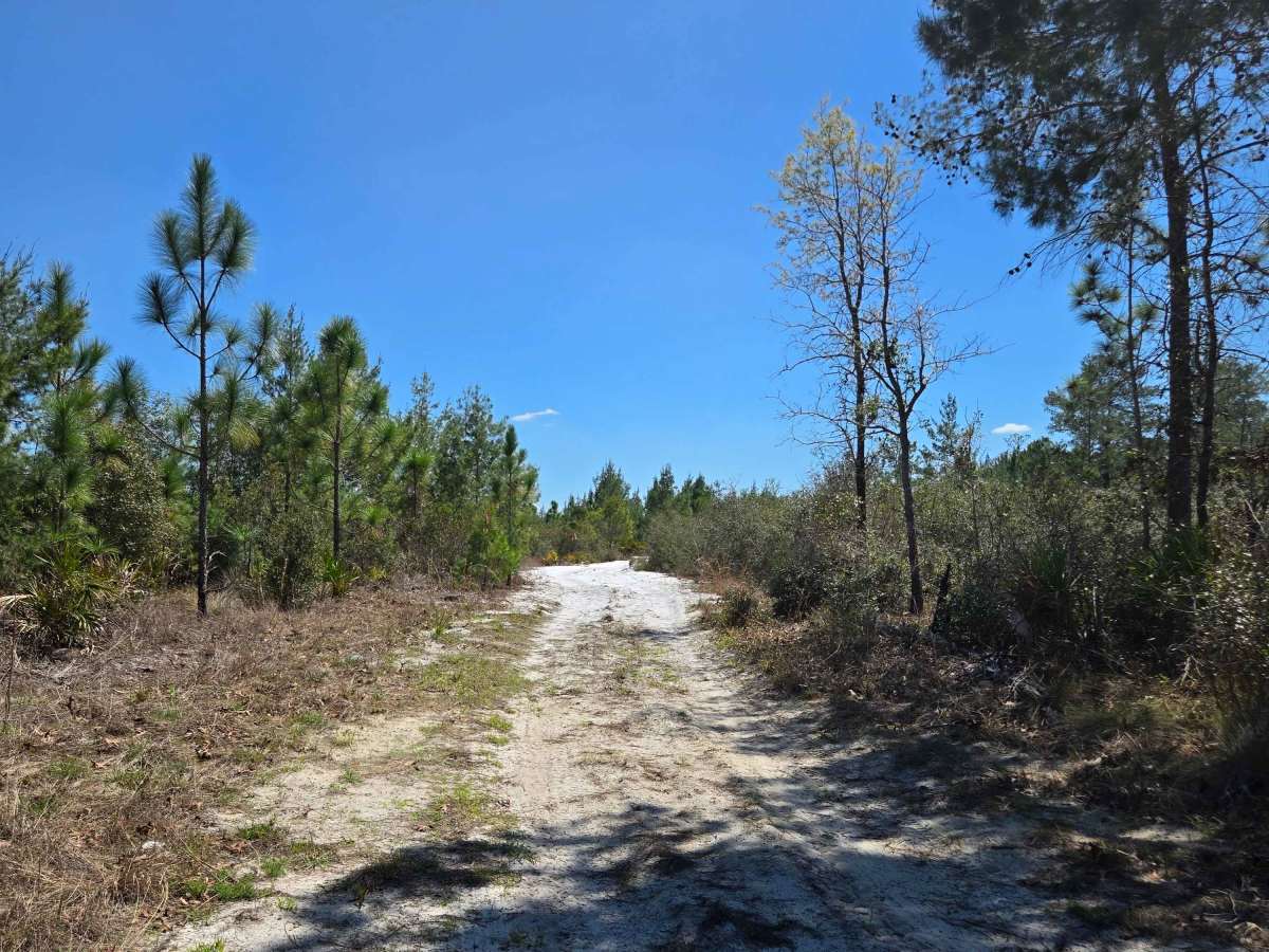Sandy Trail photo 6