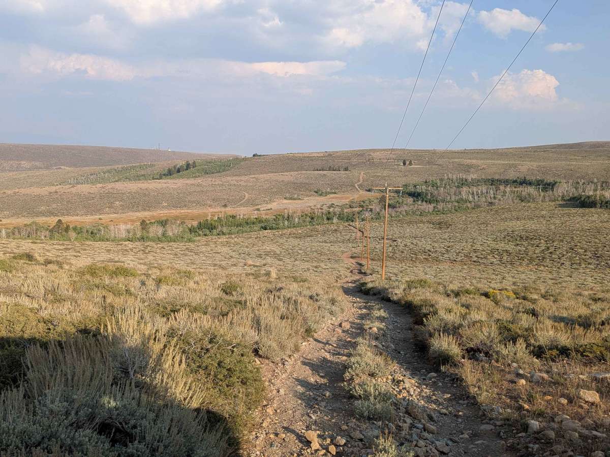 Dog Creek Valley photo 2