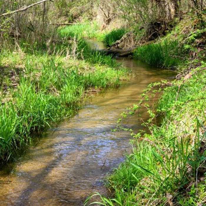 Near Trout Brook Loop