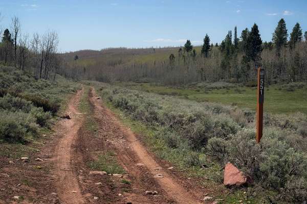 Kabell Hollow #551 