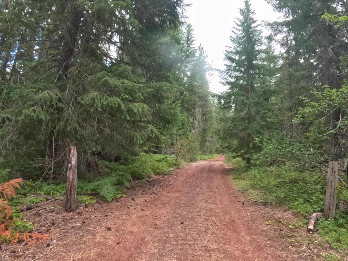 FS 2200-080 trail photo
