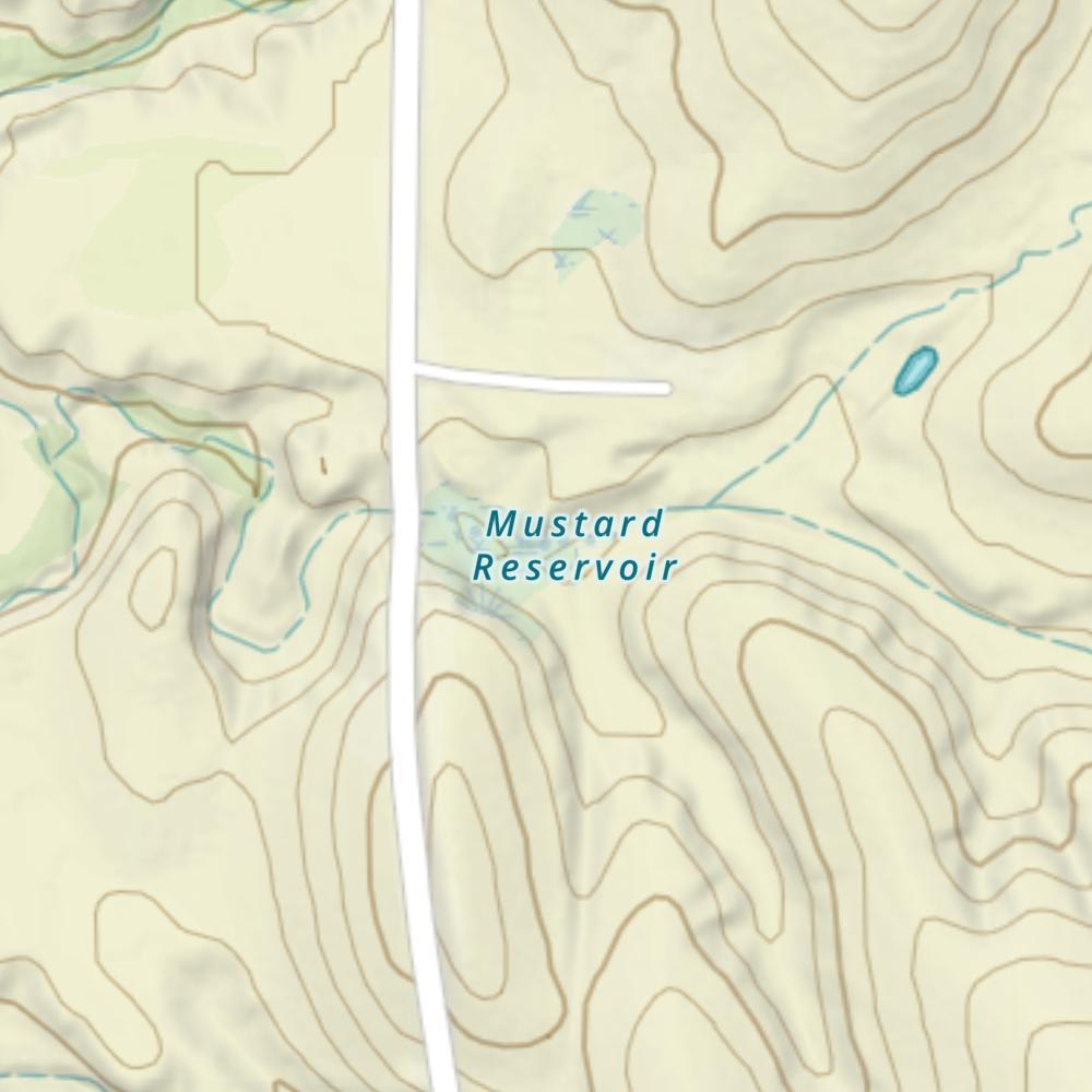 Mustard Reservoir photo