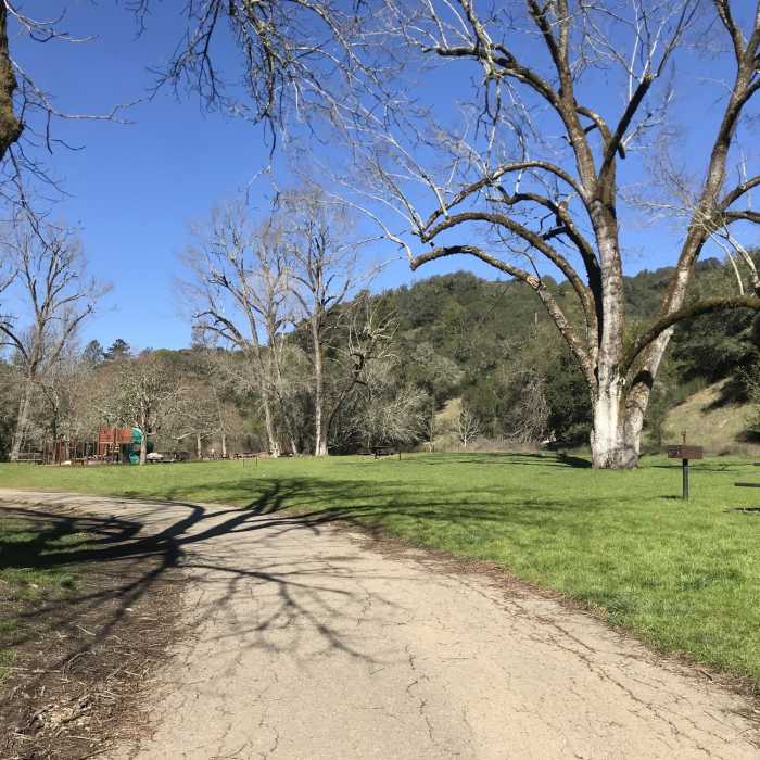 Near Stream Trail Out-and-Back