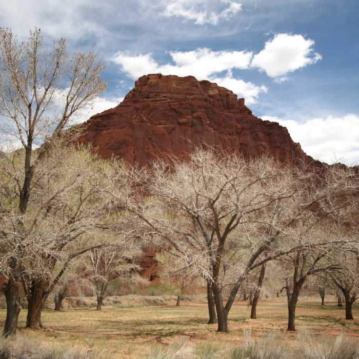 Near Visitor Center Trail