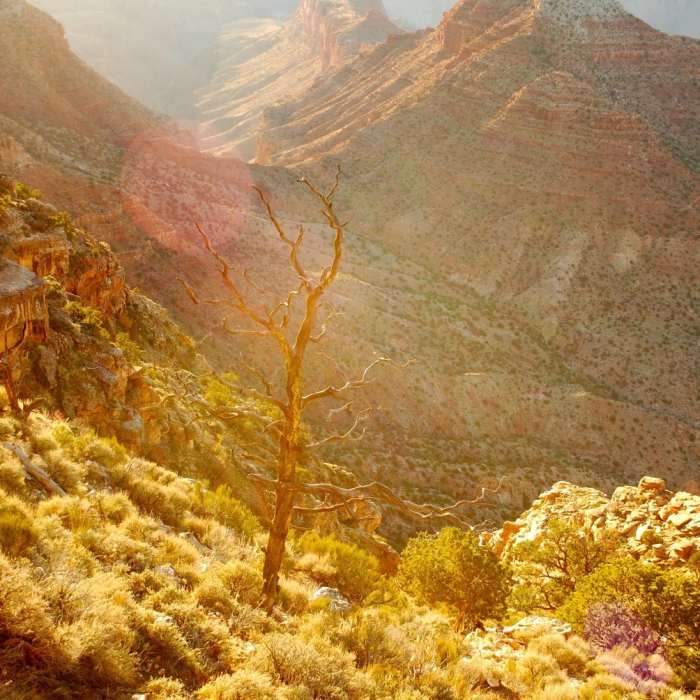 Down into the Canyon. Near Tanner