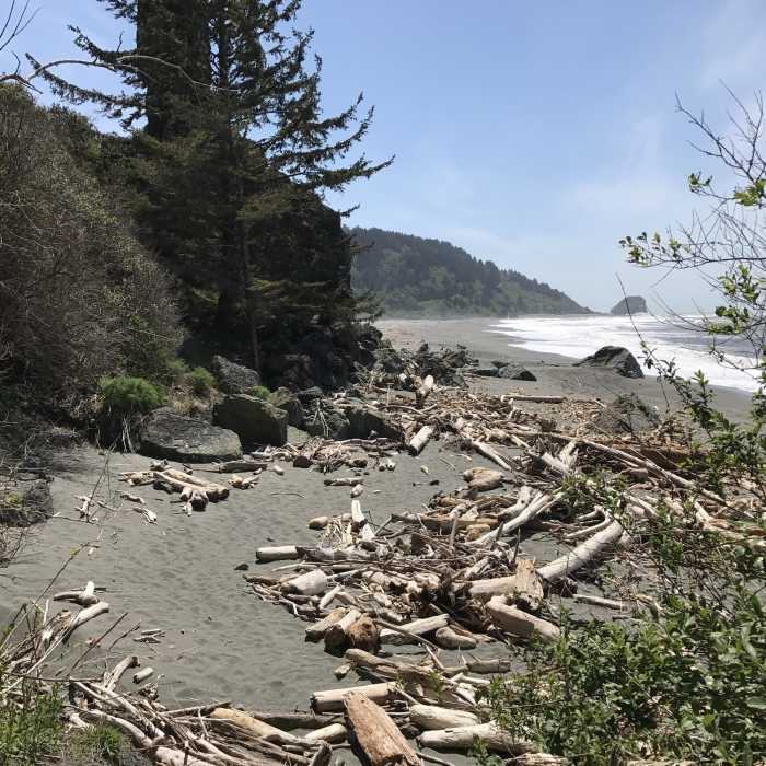 Klamath Beach is home to just a few pieces of driftwood. Near Klamath Beach Trail