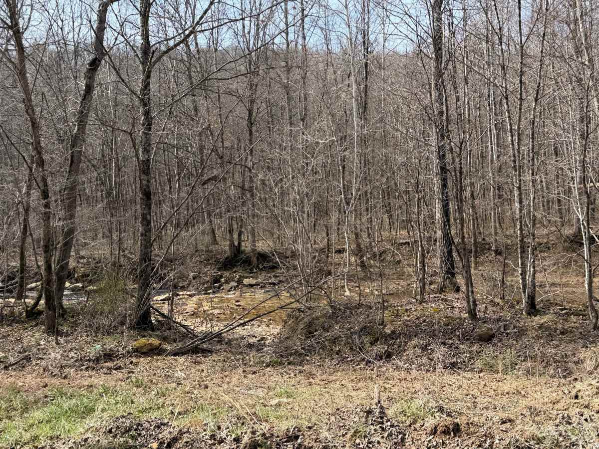 Turkey Run Road photo 3
