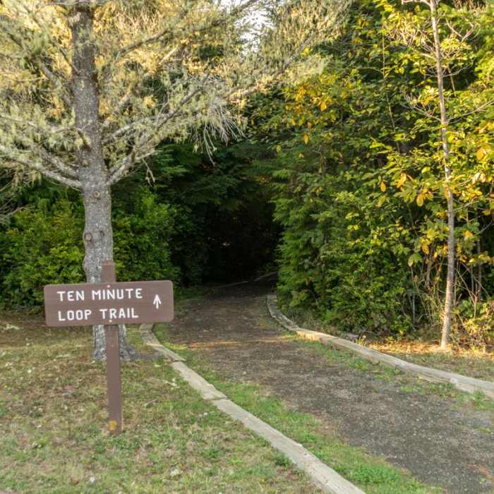 Near South Slough Loop Hike