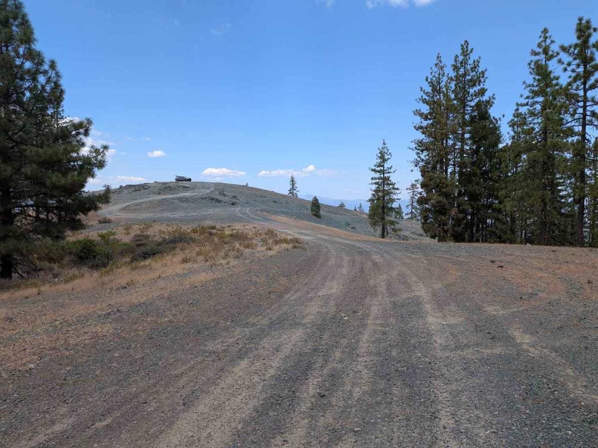 Ditch Gulch Road - FS 30N46 photo 6