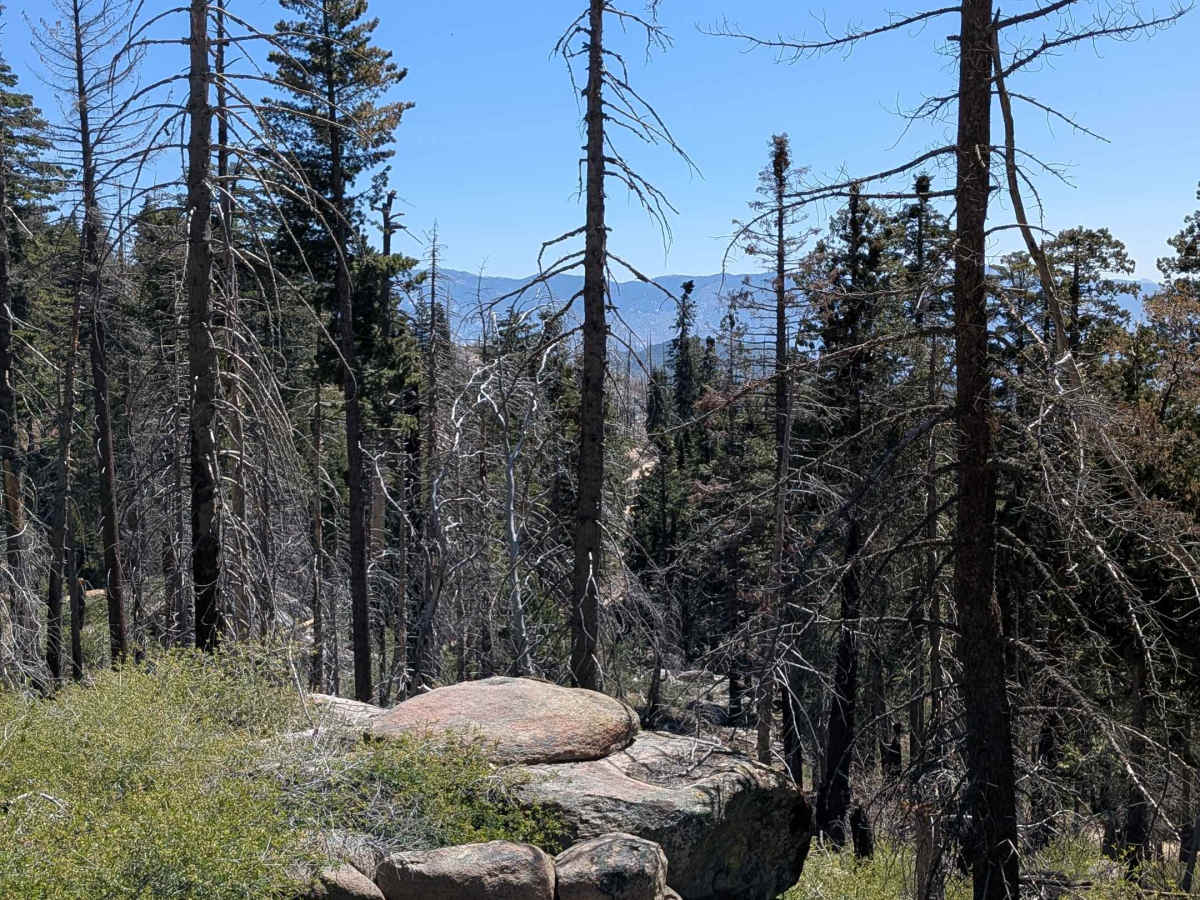 Sunday Peak Trail photo 5