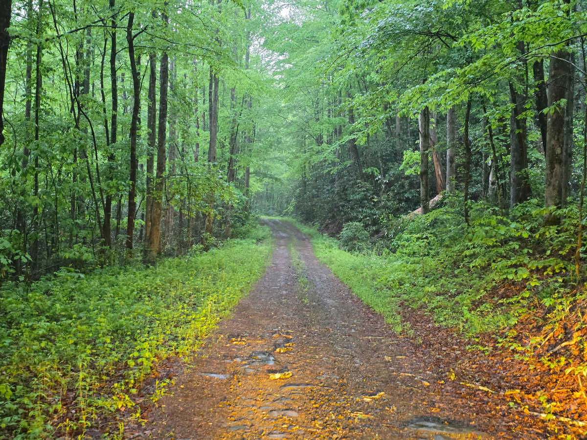 Three Fork Gap photo 2