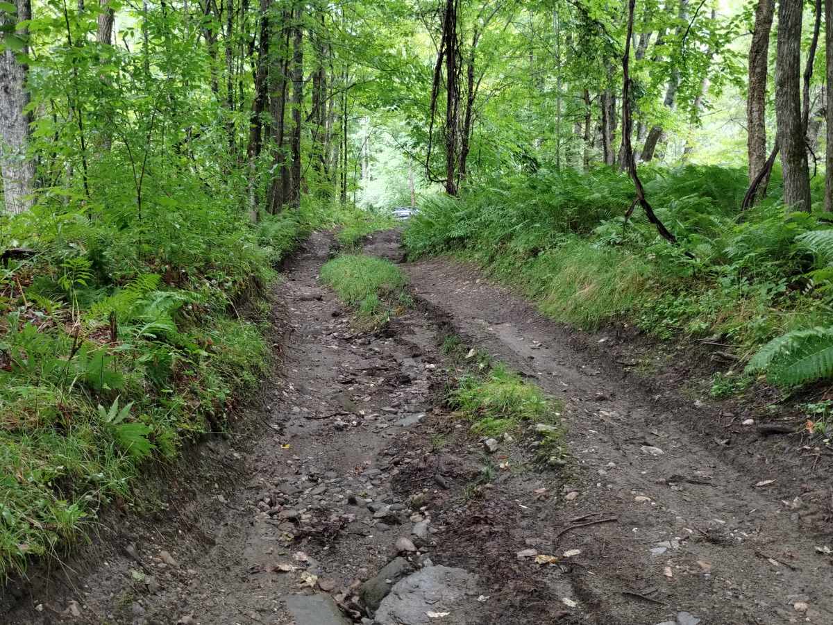 Cliffard Pond Trail photo 6