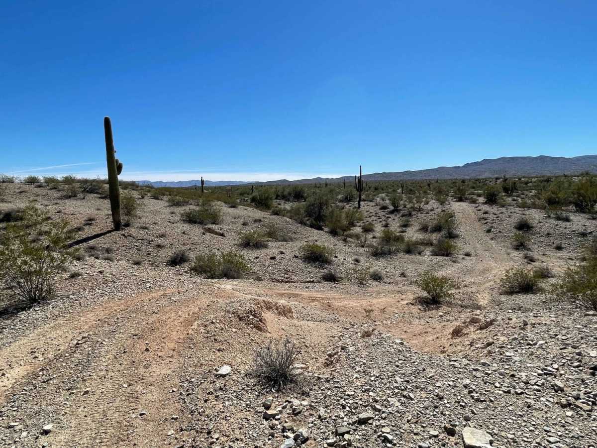 Fun Fence Line Rip photo 3