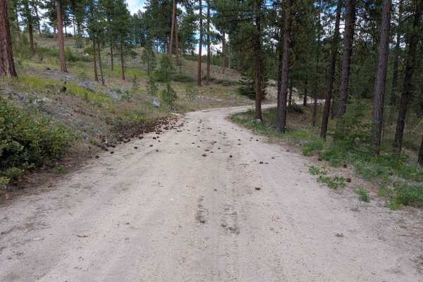 Woody Mountain Road