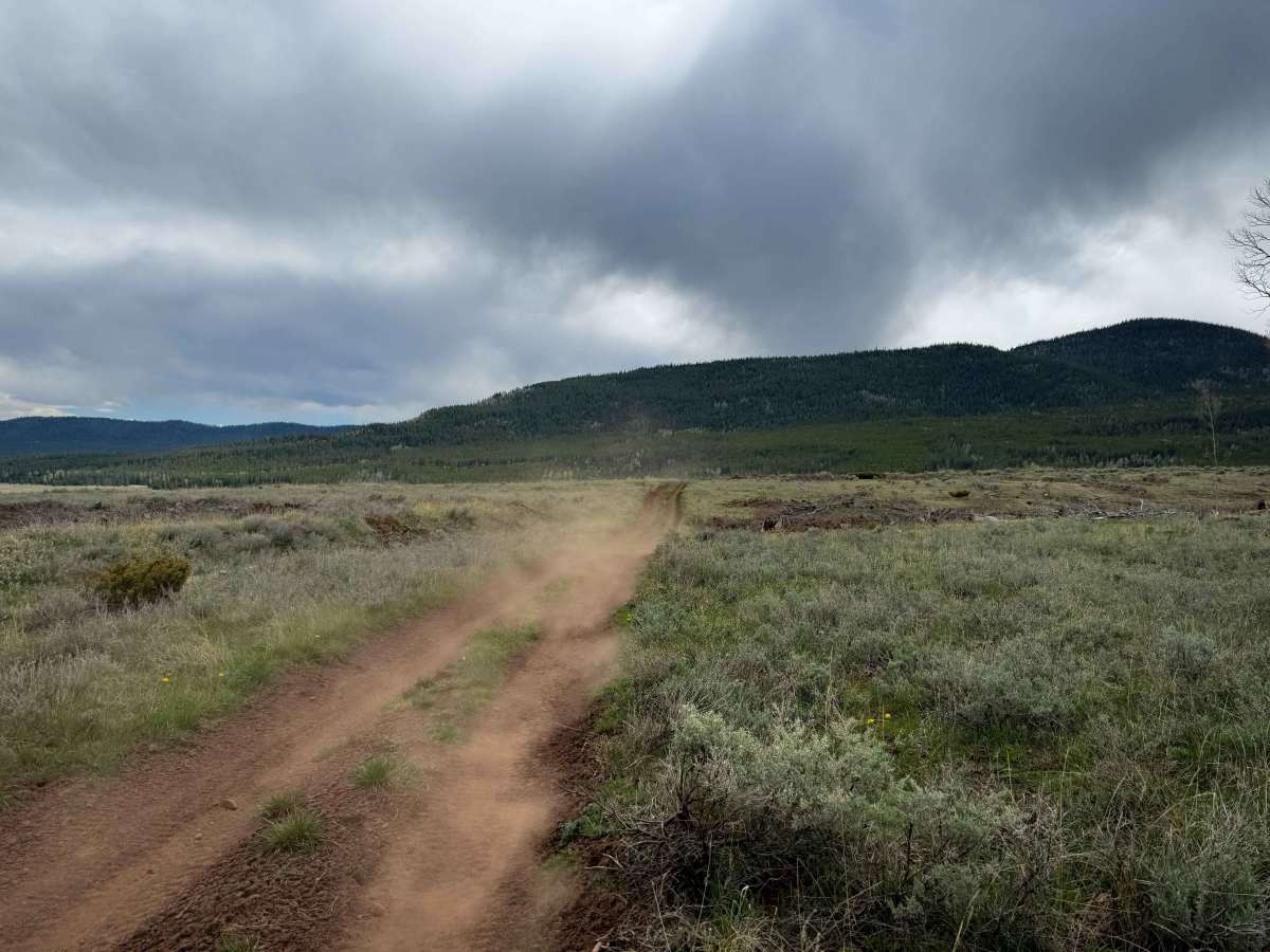 Bowden Draw Access Trail photo 3