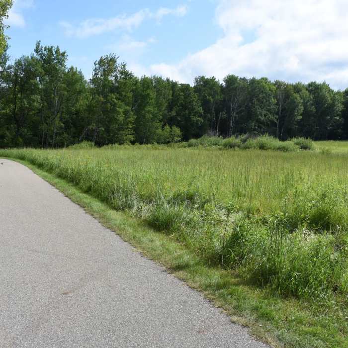 Near Annie Battle Lake Trail Near Annie Battle Lake Trail
