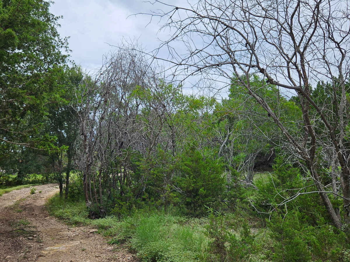 Saddle Spur photo 3