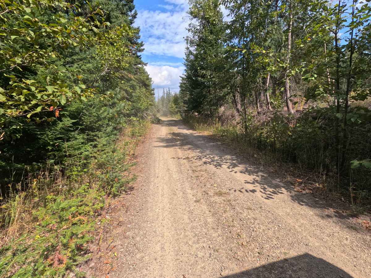 Bead Lake Road - FS 318 photo 2