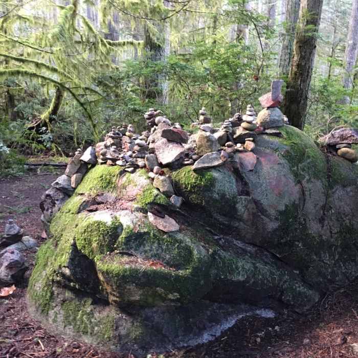 Near Cross Island Trail