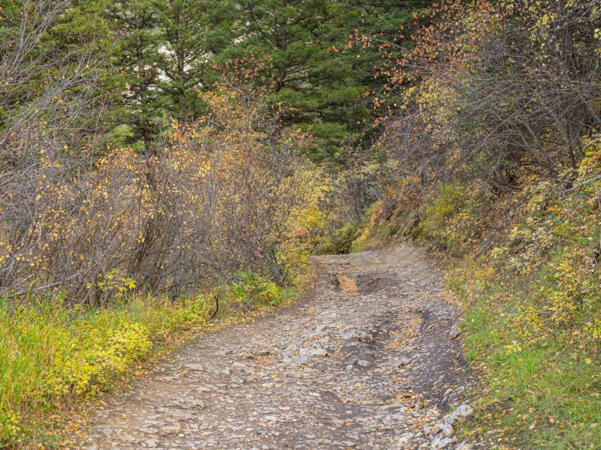 Flathead Pass photo 3
