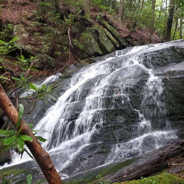 Near Pinhoti Run (Bear Creek, Pinhoti, Mountaintown Creek)