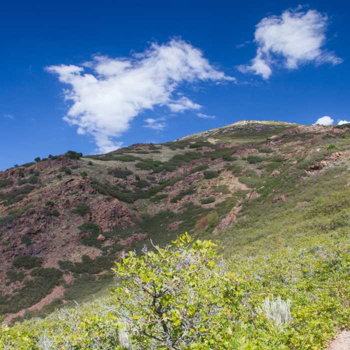 Near Mount Olympus via Wasatch Boulevard Trailhead