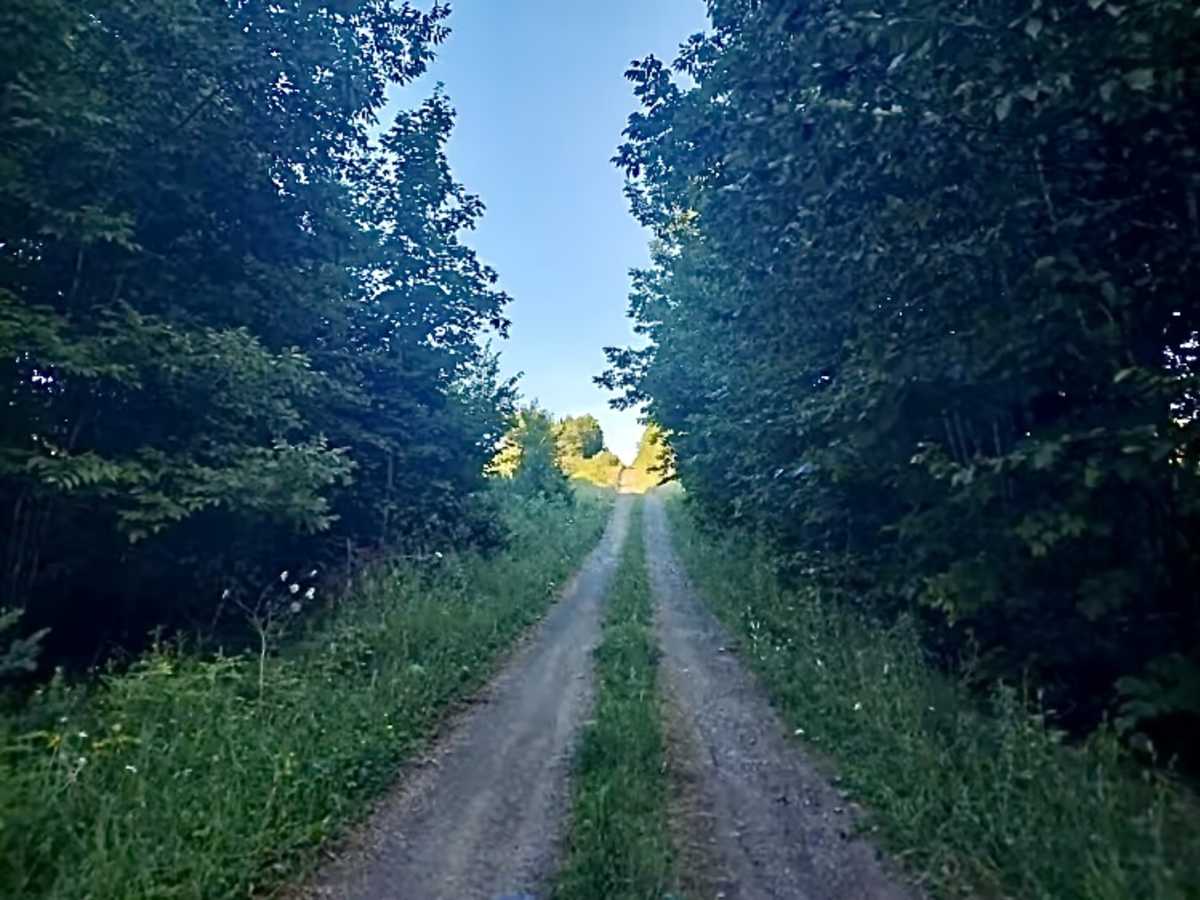 Twin Brook Road photo 3